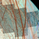 Image: NASA